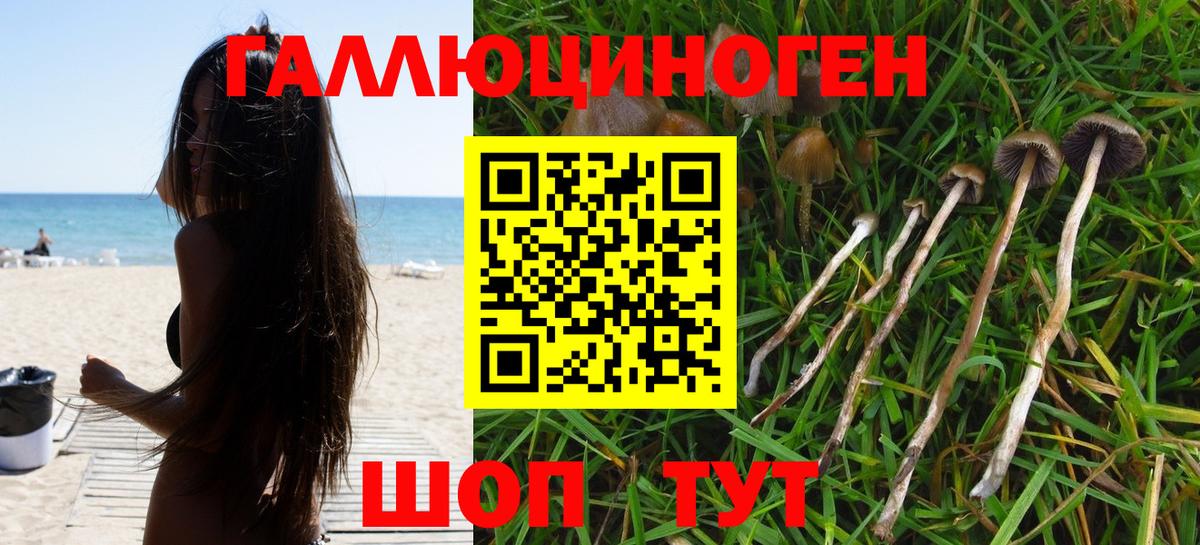 Галлюциногенные грибы прущие грибы Узловая