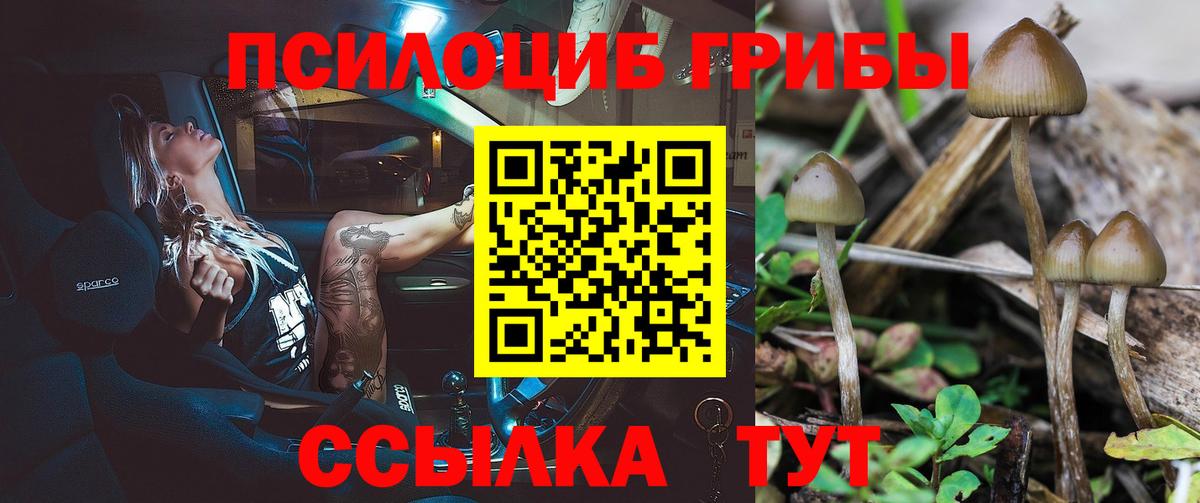 Псилоцибиновые грибы Magic Shrooms  Вход с VPN  Узловая  Псилоцибиновые грибы Magic Shrooms 